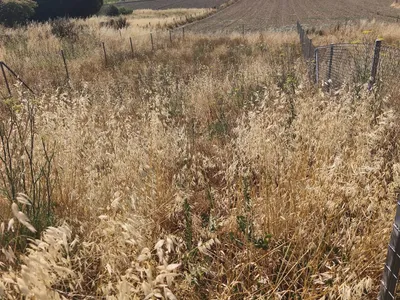 TERRENO EN VENTA EN ALBA DE TORMES