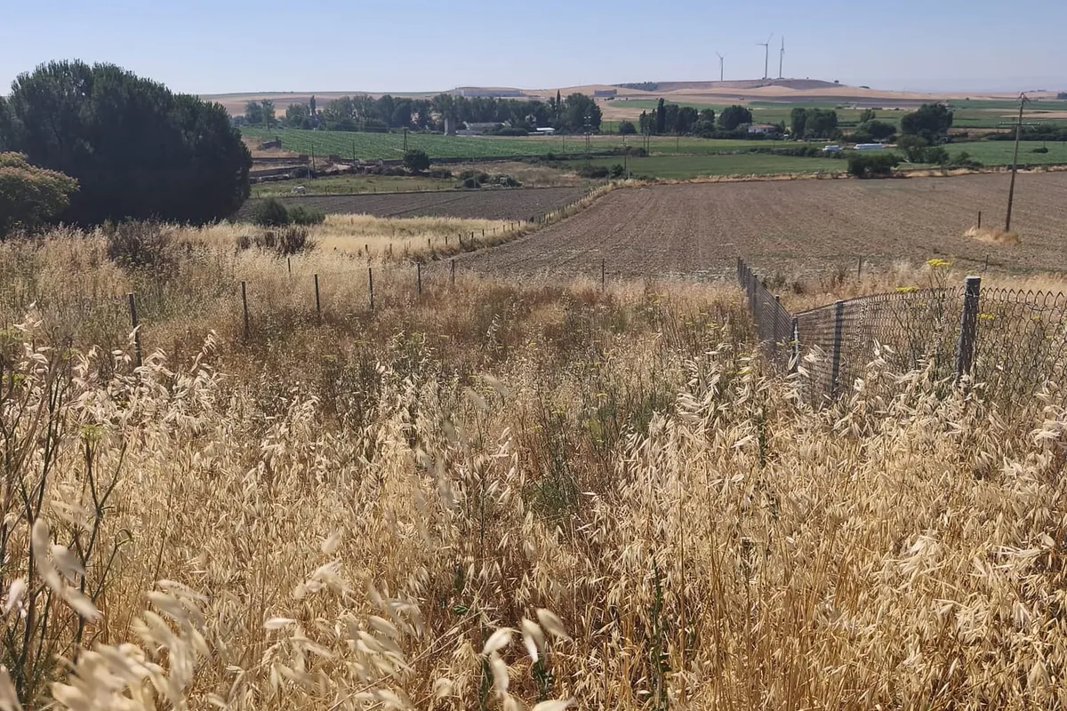 TERRENO EN VENTA EN ALBA DE TORMES