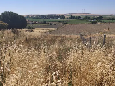 TERRENO EN VENTA EN ALBA DE TORMES
